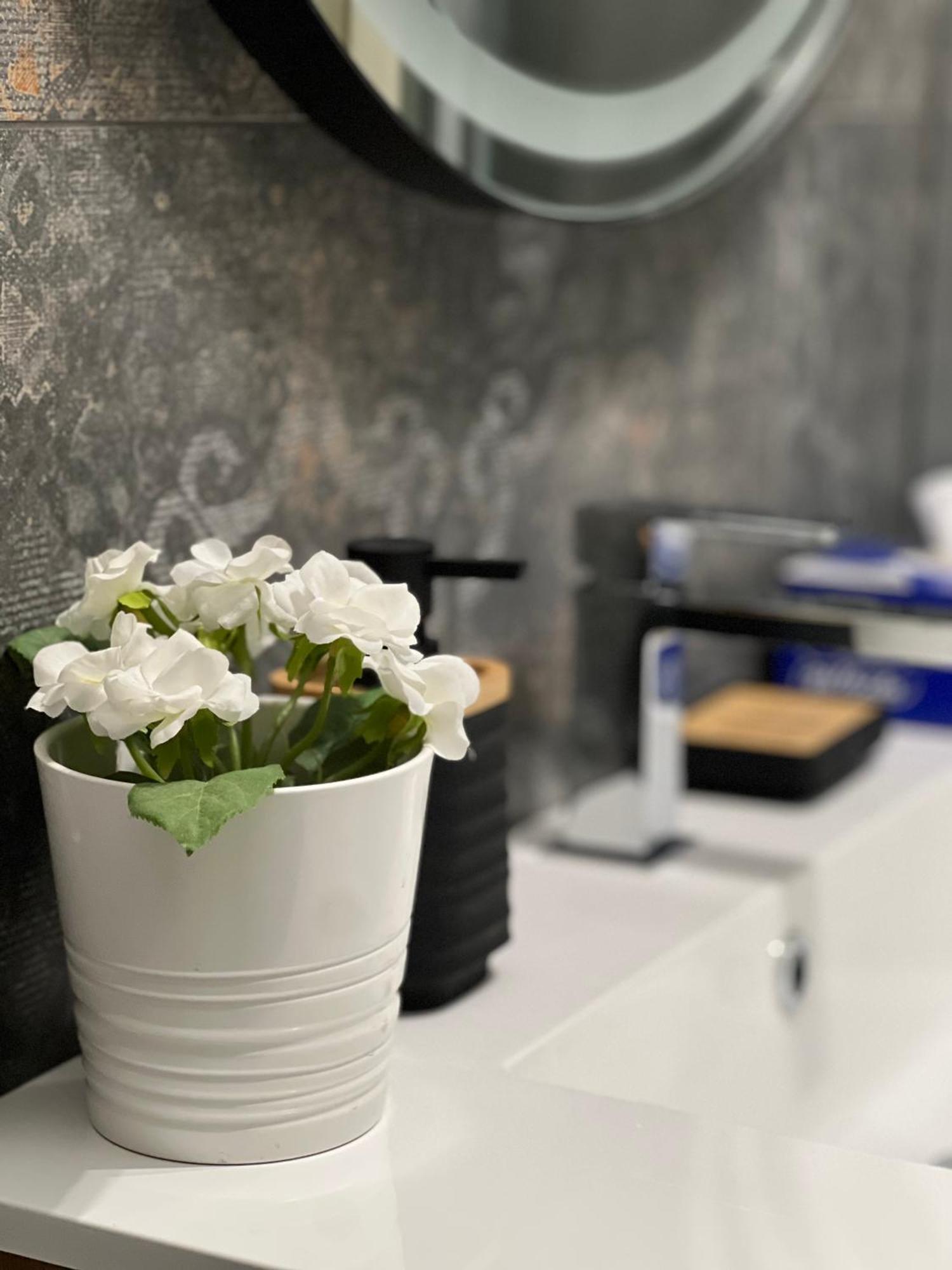 Plumbird Boutique & Apartamento