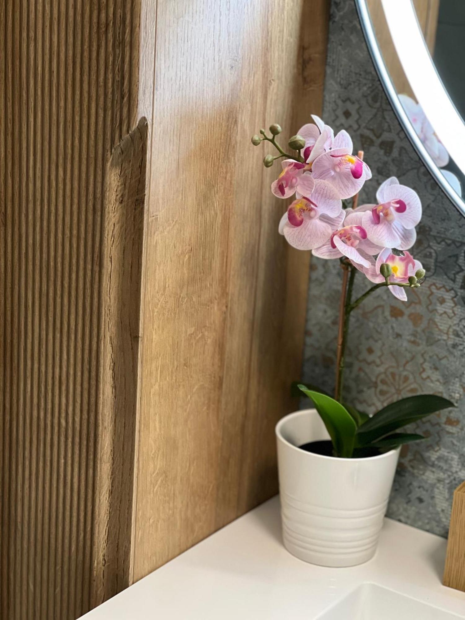 Apartamento Plumbird Boutique & *